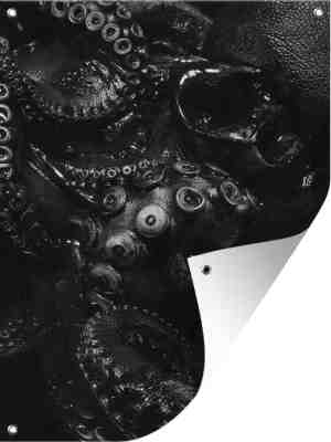 Foto: Tuin decoratie close up octopus op zwarte achtergrond in zwart wit 30 x 40 cm