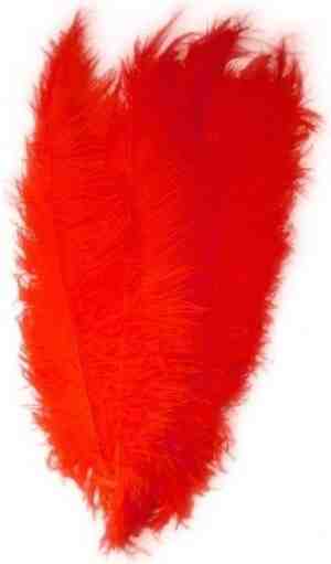 Foto: 3x grote decoratie veren struisvogelveren rood 50 hobby knutsel materiaal sierveren decoratie veren