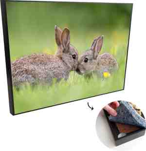 Foto: Akoestische panelen geluidsisolatie akoestisch wandpaneel wanddecoratie schilderij 60x40 cm konijnen baby gras geluidsdemper isolatie platen studio schuim