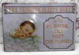 Foto: Tekstbord tekst plaatje the princess sleeps here 30 x 20