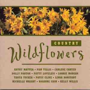 Foto: Country wildflowers