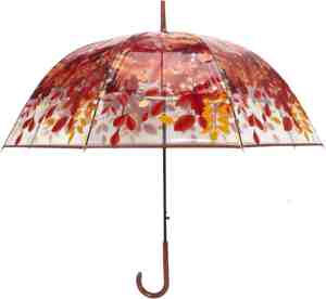 Foto: Fop en bij herfst koepelparaplu paraplu transparant volwassenen opvouwbaar