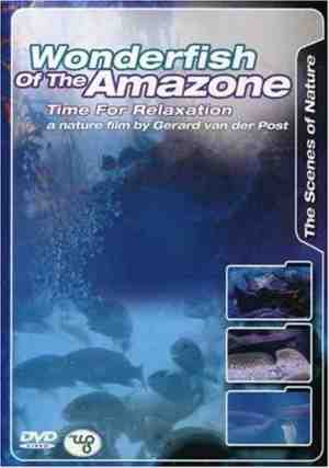 Foto: Wonderfish of the amazone time for relaxation