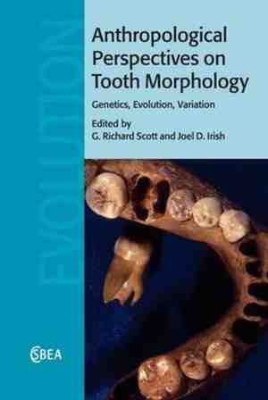 Foto: Cambridge studies in biological and evolutionary anthropologyseries number 66  anthropological perspectives on tooth morphology