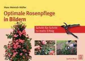 Foto: Optimale rosenpflege in bildern