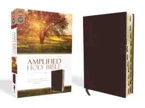 Foto: Amplified holy bible bonded leather burgundy thumb indexed