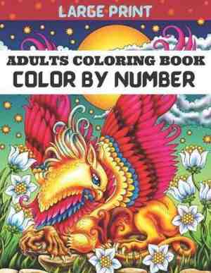Foto: Large print adults coloring book color by number