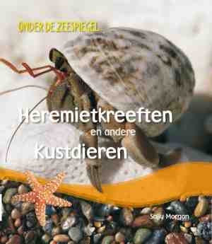 Foto: Onder de zeespiegel heremietkreeften en andere kustdieren