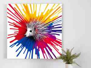 Foto: Porcupine paint palooza kunst 80x80 centimeter op canvas foto op canvas wanddecoratie