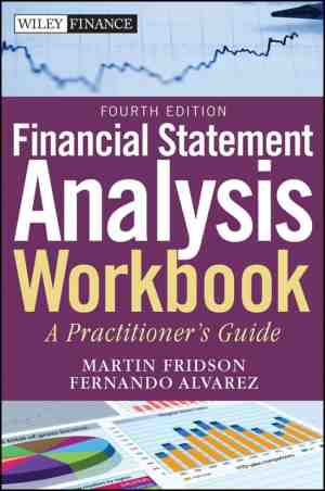 Foto: Financial statement analysis workbook