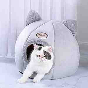 Foto: Kattenmand voor katten antislip zacht warm afneembaar gesloten opvouwbaar kussen voor dieren 32 x 32 x 35 cm ca 5 kg voor katten grijs 