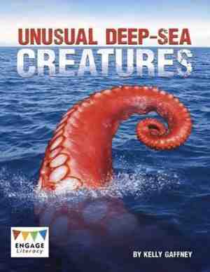 Foto: Unusual deep sea creatures