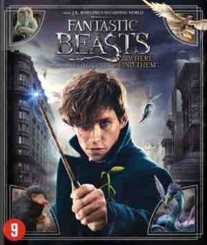 Foto: Fantastic beasts and where to find them blu ray