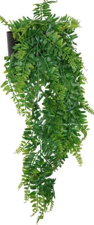 Foto: Varen kunst hangplant hangende kunstplant kunstplant voor binnen varen hangende kunstplant kunstplant voor binnen neppe hangplant65cm
