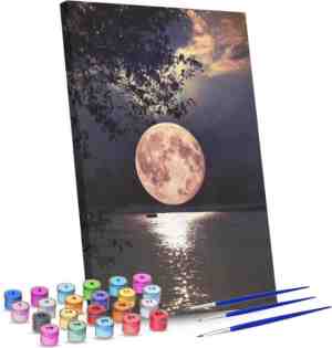 Foto: Rubye schilderen op nummer volwassenen volle maan inclusief verf en penselen canvas schildersdoek kleuren 40 x 50 cm