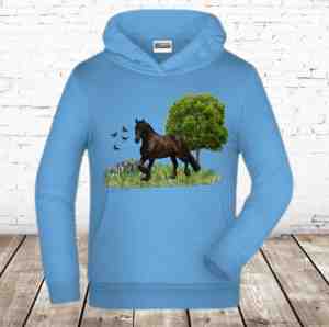 Foto: Lichtblauwe hoodie met paard james nicholson 110 116 hoodie meisjes