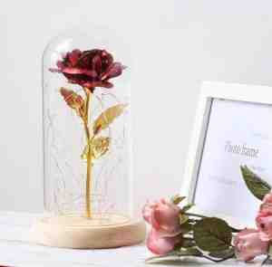 Foto: Beauty and the beast rode roos gouden in glazen stolp met led valentijn trouw liefde cadeau golden rose enchanted kunstbloem kunstroos kado bloem