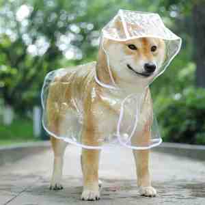 Foto: Regenjas voor hondjes waterdicht kleine honden anti vies worden schone vacht warm