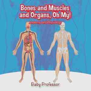 Foto: Bones and muscles organs oh my anatomy physiology
