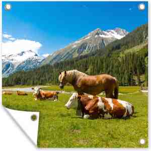 Foto: Tuin poster koeien paarden alpen 200x200 cm