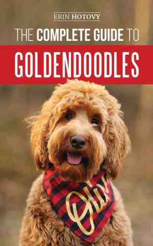 Foto: The complete guide to goldendoodles
