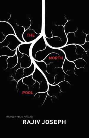 Foto: The north pool