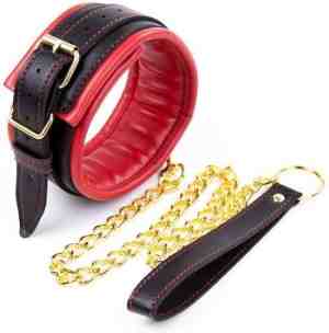 Foto: Banoch   collar leash gold   halsband en riem   rood met goud