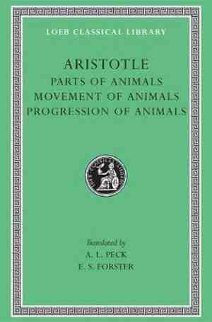 Foto: Parts of animals  movement of animals  progression of animals