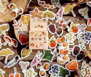 Foto: Bullet journal stickers   planner agenda stickers   46 stuks   herfst   bladeren   planten   botanisch   scrapbook stickers   laptop stickers   telefoon stickers   bujo stickers   stickers volwassenen en kinderen