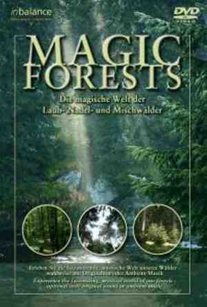 Foto: Special interest magic forests