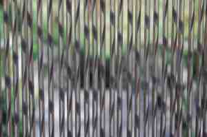 Foto: Vliegengordijn sienna 2 90x210 cm grijs