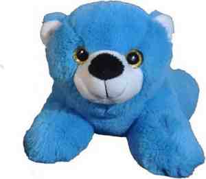Foto: Sandy speelgoed teddybeer beer knuffelbeer