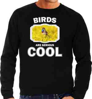Foto: Dieren vogels sweater zwart heren birds are serious cool trui cadeau sweater blauwborst vogel vogels liefhebber xl