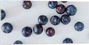 Foto: Acrylglas   verspreide blauwe bessen op witte achtergrond   100x50 cm foto op acrylglas wanddecoratie op acrylaat