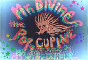 Foto: Mr divine the porcupine