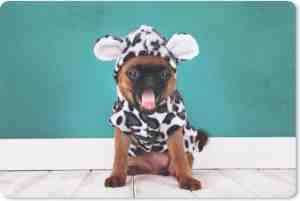 Foto: Muismat dieren in kleren   kleine hond als koe muismat rubber   27x18 cm   muismat met foto