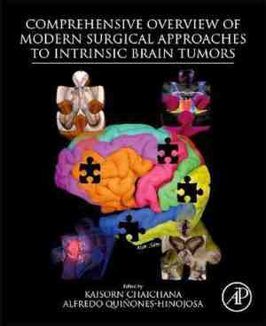 Foto: Comprehensive overview of modern surgical approaches to intrinsic brain tumors