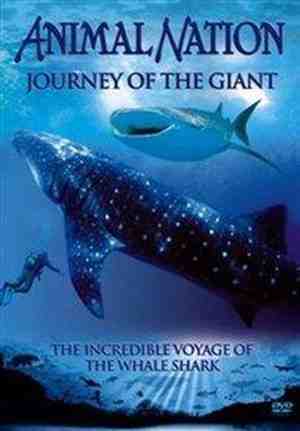 Foto: Journey of the giant