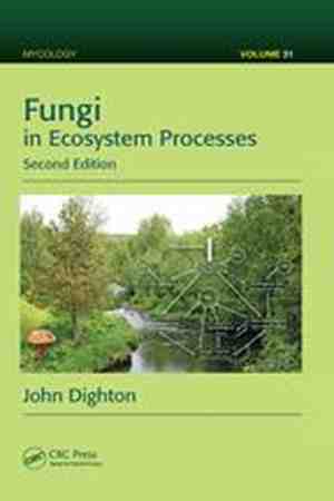 Foto: Mycology fungi in ecosystem processes