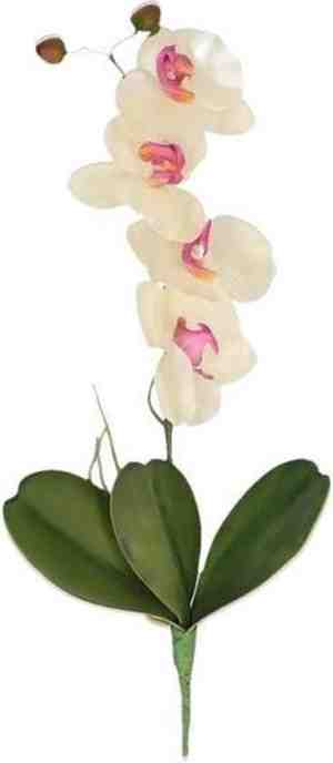 Foto: Rozewit orchideephalaenopsis kunstplant 44 cm voor binnen   kunstplantennepplantenbinnenplanten