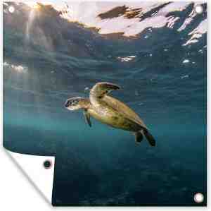 Foto: Tuin poster schildpad in helder water 200x200 cm