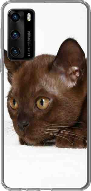 Foto: Huawei p40 hoesje   schattige 10 weken oude burmese kat   siliconen telefoonhoesje