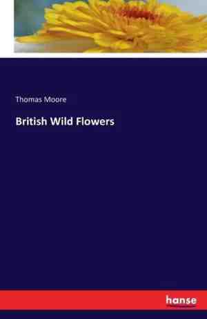 Foto: British wild flowers
