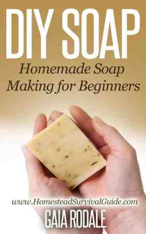 Foto: Sustainable living homestead survival series   diy soap  homemade soap making for beginners