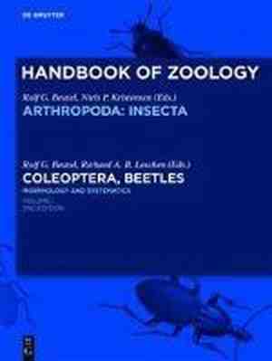 Foto: Coleoptera beetles  morphology and systematics