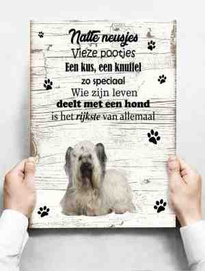 Foto: Wandbord hond skye terri r 30 x 42 cm