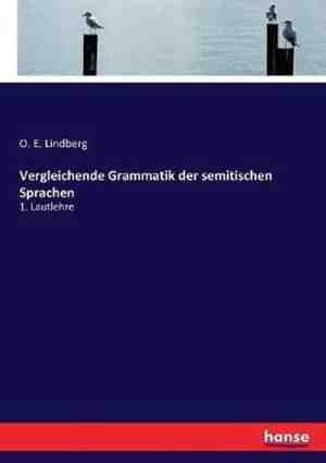 Foto: Vergleichende grammatik der semitischen sprachen