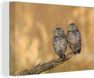Foto: Canvas schilderij uilen paar   30x20 cm   wanddecoratie