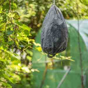 Foto: Ecostyle wespweg tegen wespen   imitatie wespennest   ecologisch en vriendelijk   houdt wespen op 5 m afstand