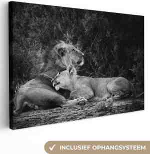 Foto: Canvas schilderij   leeuwen zwart wit 120x80   kamer decoratie accessoires natuur   schilderijen leeuw woonkamer   wanddecoratie slaapkamer dieren   muurdecoratie keuken   wanddoek interieur binnen   woondecoratie huis   woonaccessoires